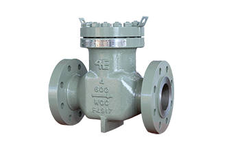 4E WCC Non-Slam Piston Check Valve